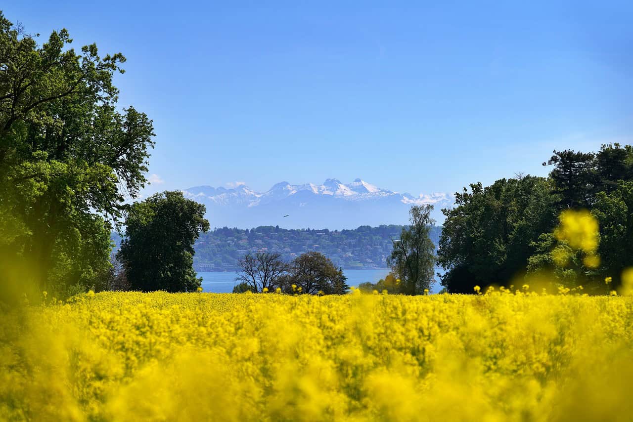 Best Places to Travel in Spring in the US