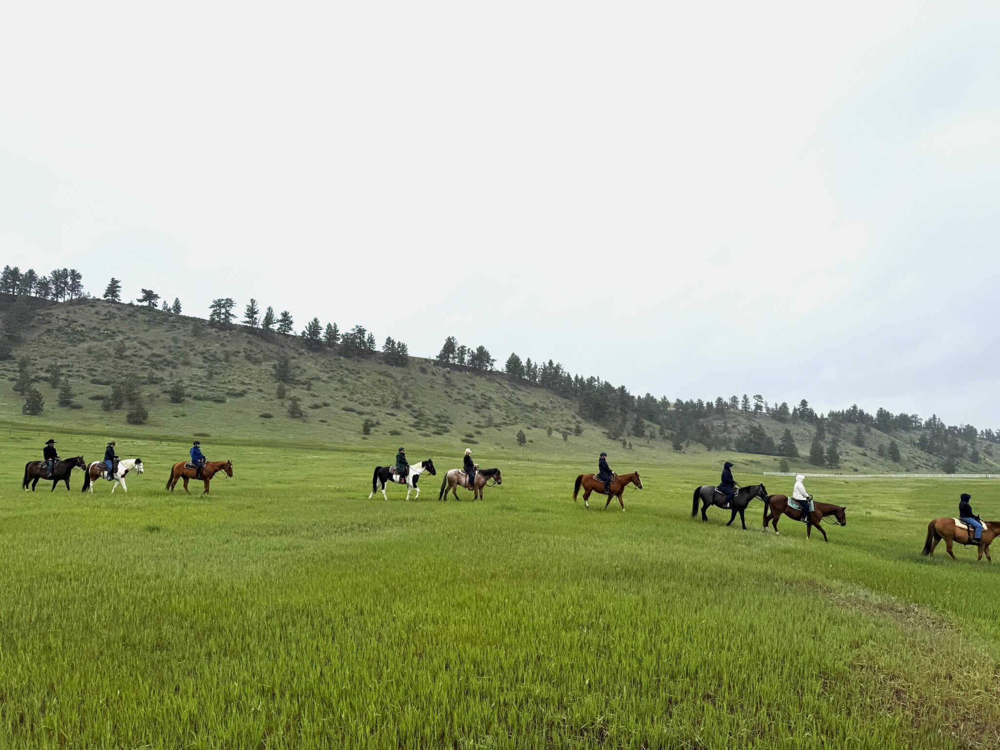 Circle Bar Ranch_a Montana dude ranch_horse rides over hillsides