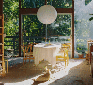 Live Kindred - home swap