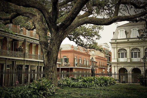 Halloween travel_New Orleans