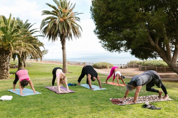 Tips to stay healthy while traveling Tips to stay healthy while traveling