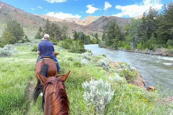 Wyoming dude ranch_Blackwater Creek – horseback ride river trails Wyoming dude ranch_Blackwater Creek - horseback ride river trails