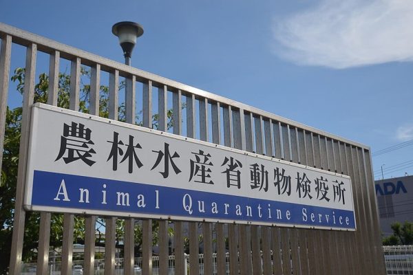 travel terminology_quarantine